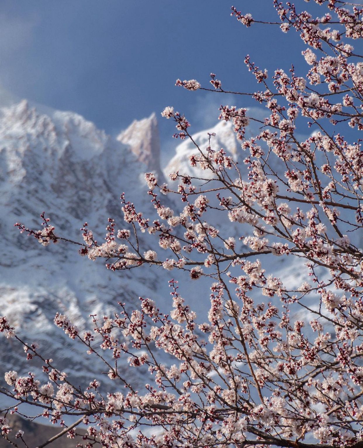Pakistani Mountain Tours | Explore Gilgit, Hunza, Skardu & More