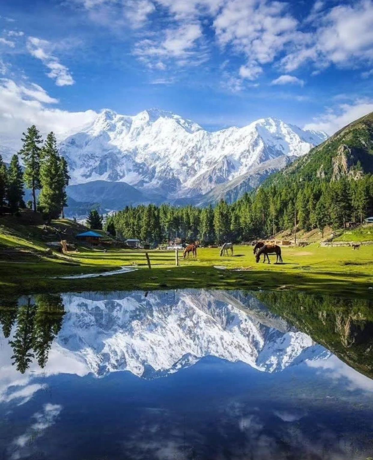 Gilgit Pakistani Mountain Tours | Explore Gilgit, Hunza, Skardu & More